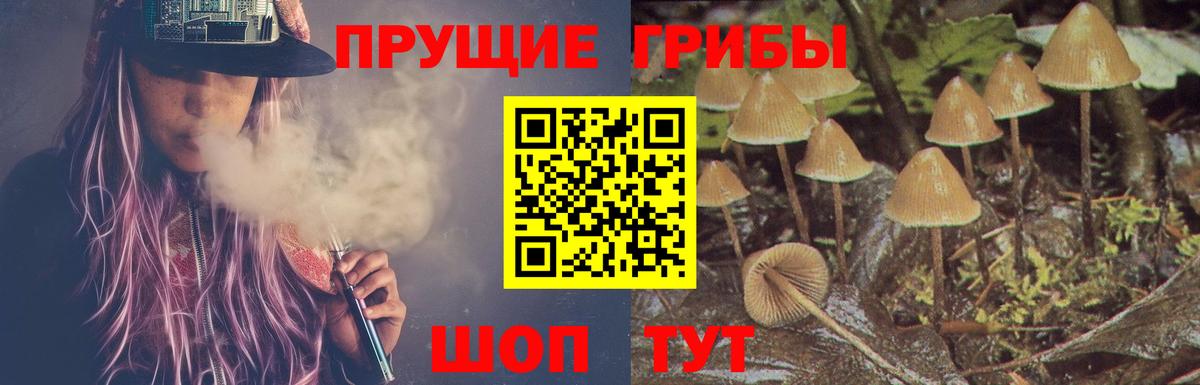 Псилоцибиновые грибы мицелий Сердобск