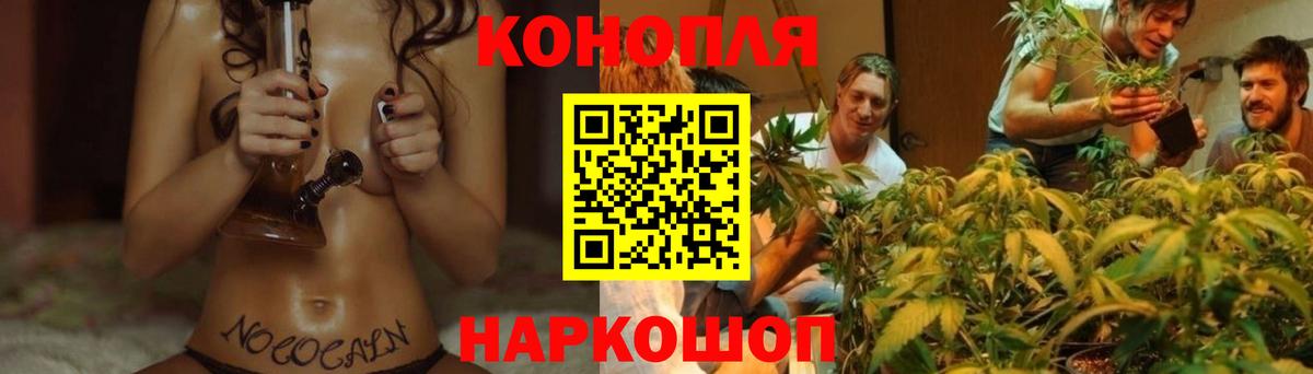 Конопля AK-47  Канабис тримм  Вход с VPN  Марихуана семена  Бошки Шишки AK-47  Сердобск 